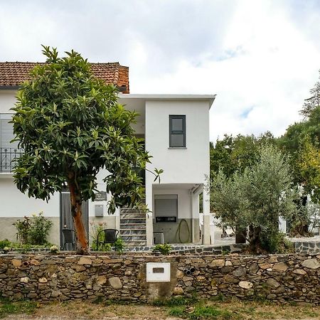 Casa Do Ferreiro Βίλα Góis Εξωτερικό φωτογραφία