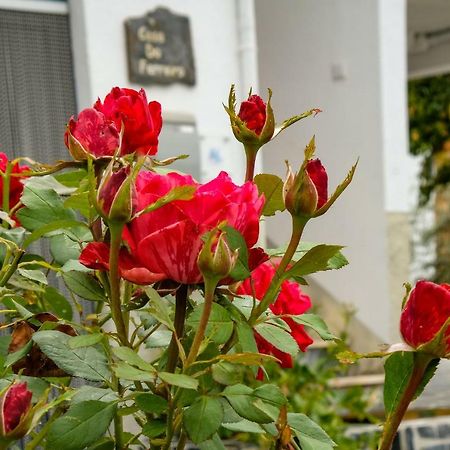 Casa Do Ferreiro Βίλα Góis Εξωτερικό φωτογραφία