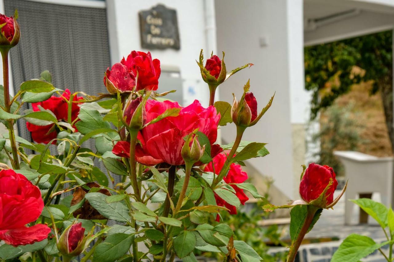 Casa Do Ferreiro Βίλα Góis Εξωτερικό φωτογραφία